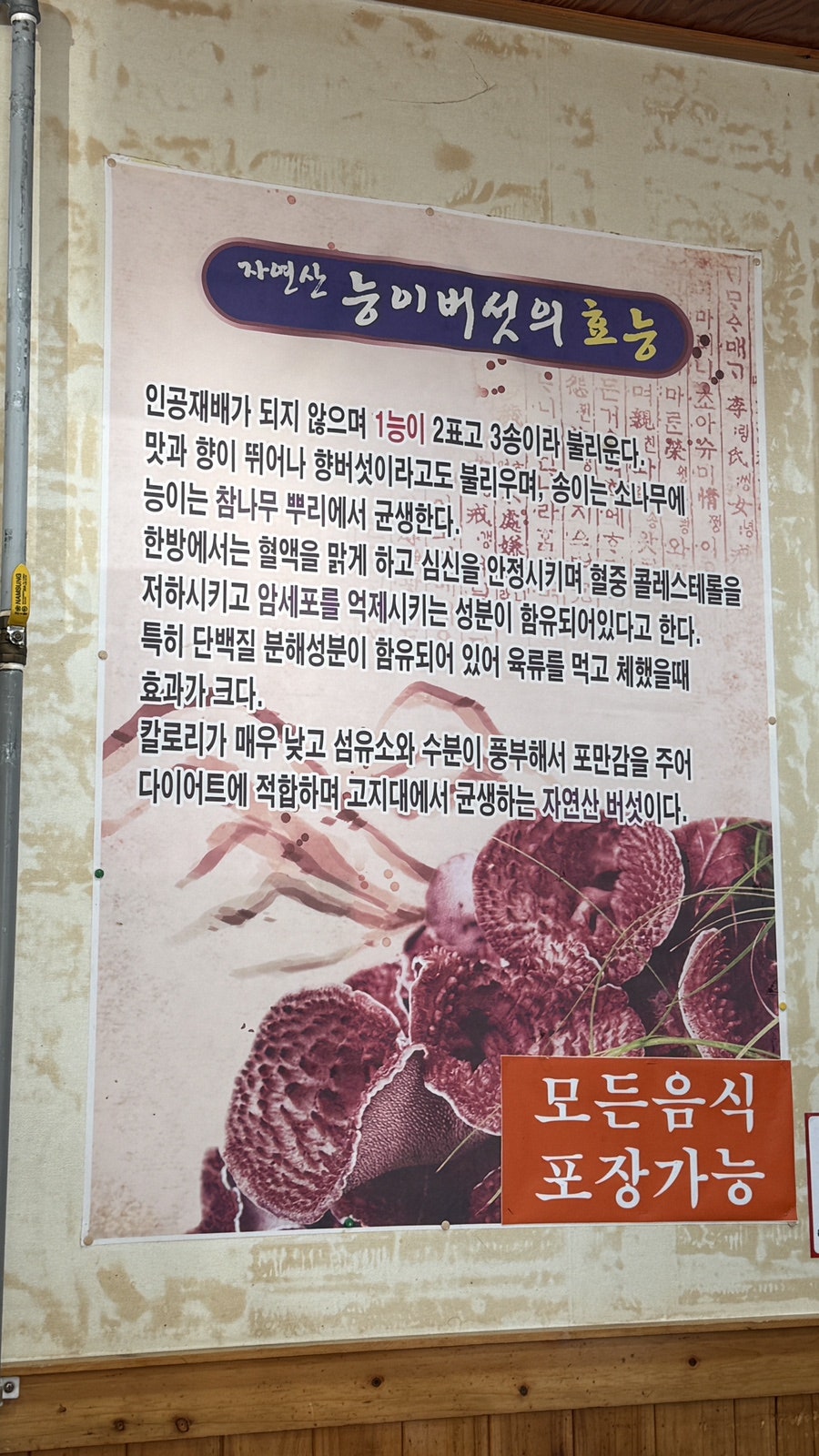 논두렁 사진 4