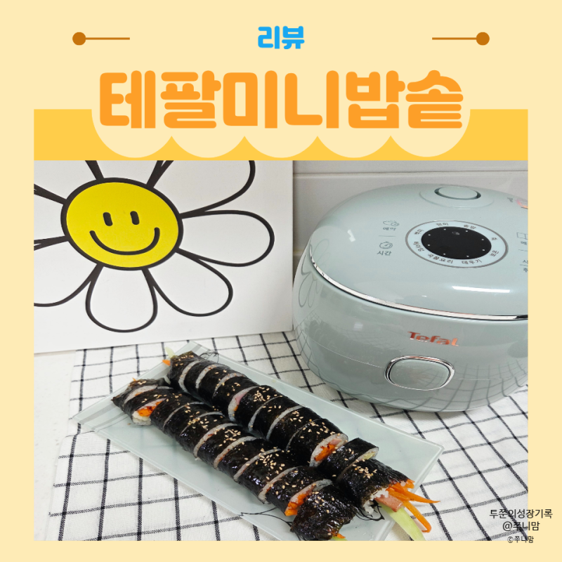 테팔 팝솥 미니전기밥솥으로 당근 케이크 만들기 후기
