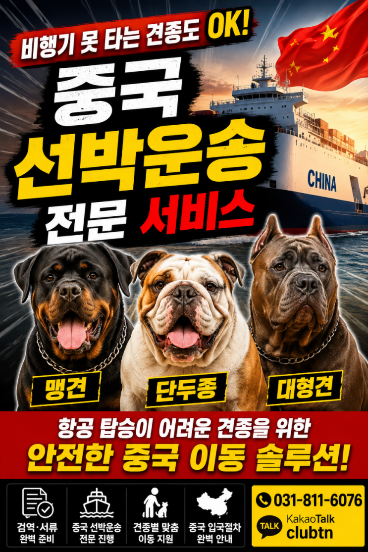  China Pet Relocation Guide｜중국 반려동물 입국 방법과 단두종·맹견 운송 서비스