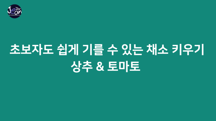  초보자도 쉽게 기를 수 있는 채소 키우기