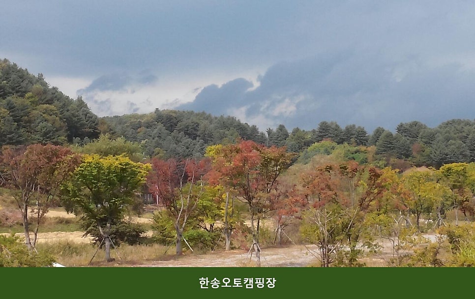 한송오토캠핑장 사진 2