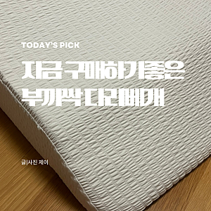 부끼싹 다리베개 쿠션 무중력 올리고자기 발베개 잠숲공 추천