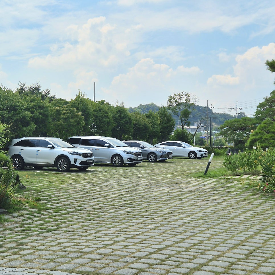 카페다원 사진 4