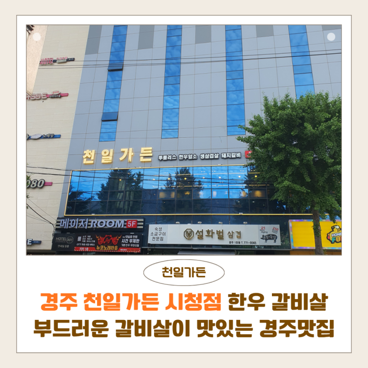  경주 천일가든 시청점 한우 갈비살 후기 | 부드러운 갈비살과 된장찌개가 맛있는 경주한우맛집