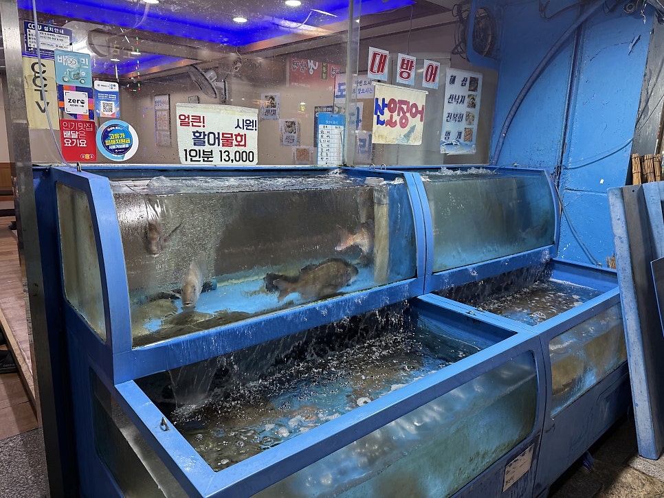 세양수산 사진 2