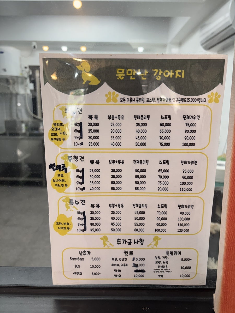 물만난강아지 사진 4