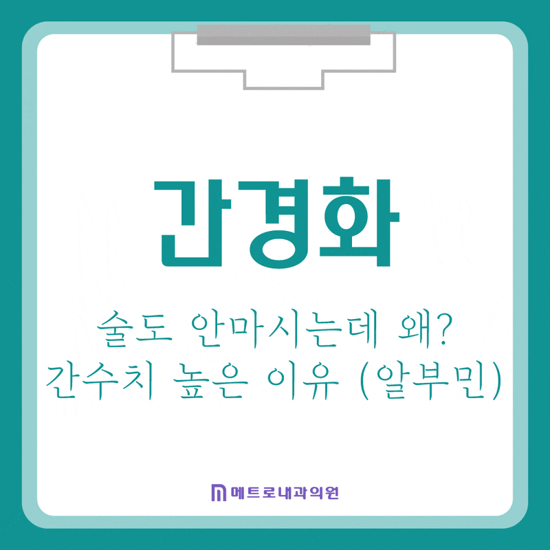 술도 안 마시는데 왜? 간수치 높은 이유와 알부민 효능