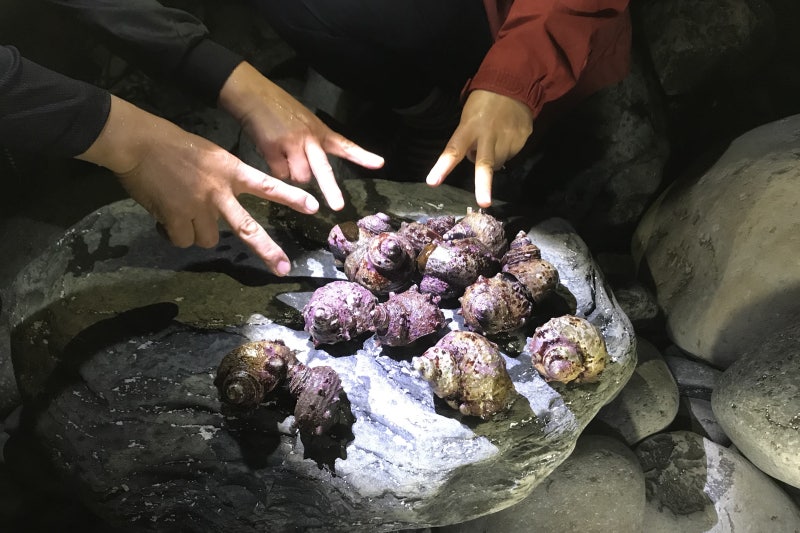 울릉도 렌트카 타고 내맘대로 울릉도자유여행..!!