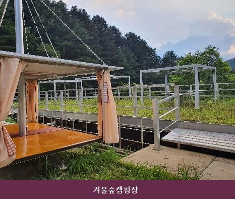 겨울숲캠핑장 사진 3