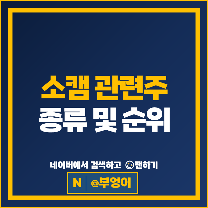  소캠 반도체 관련주 티에프이 티엘비 LB인베스트먼트 등