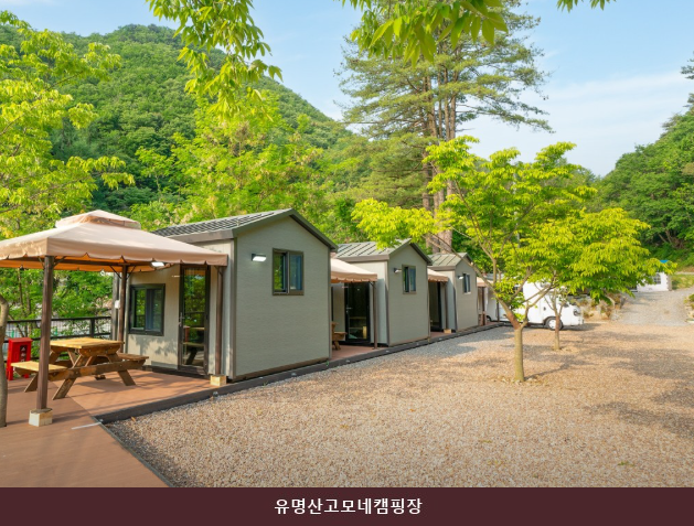 Yumyeongsangomonekaempingjang photo 4