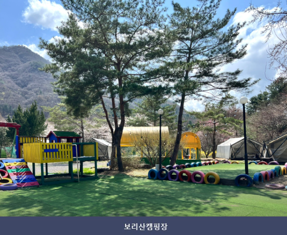 보리산캠핑장 사진 3