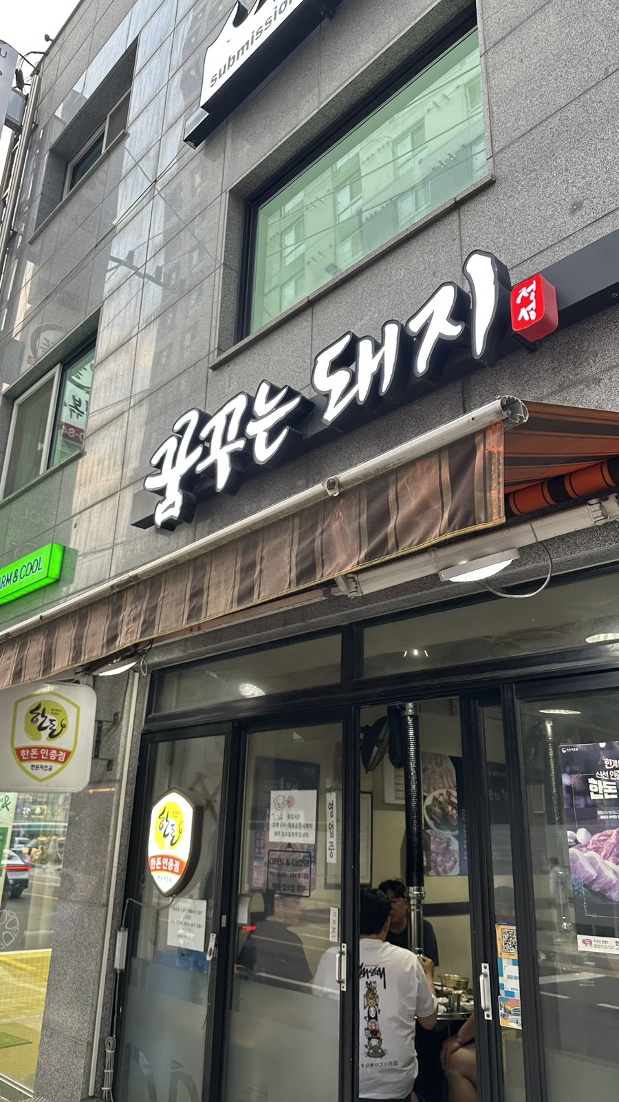 꿈꾸는돼지 사진 1