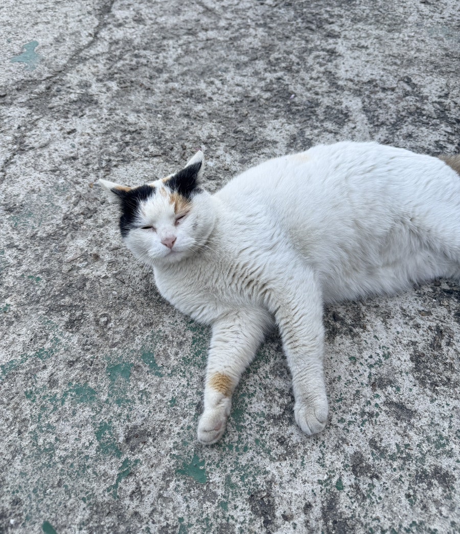 키킨씨푸드 강화점 사진 5