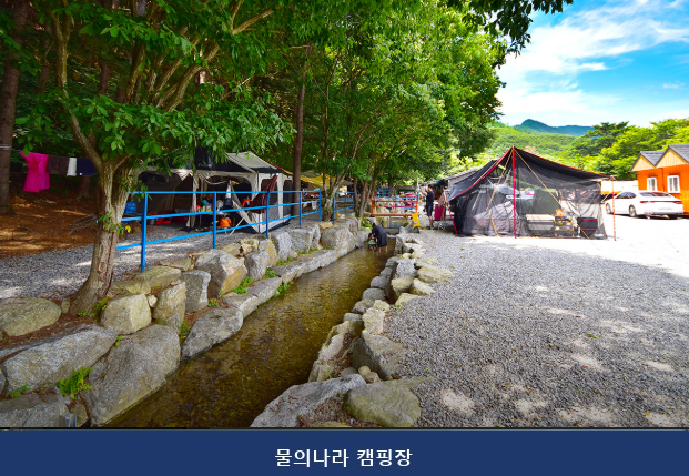 물의나라 캠핑장 사진 1