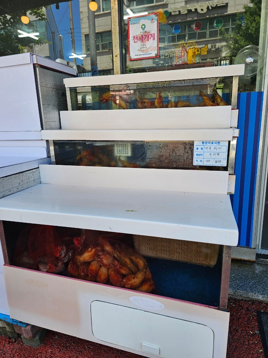 특벼리각벼리 사진 2