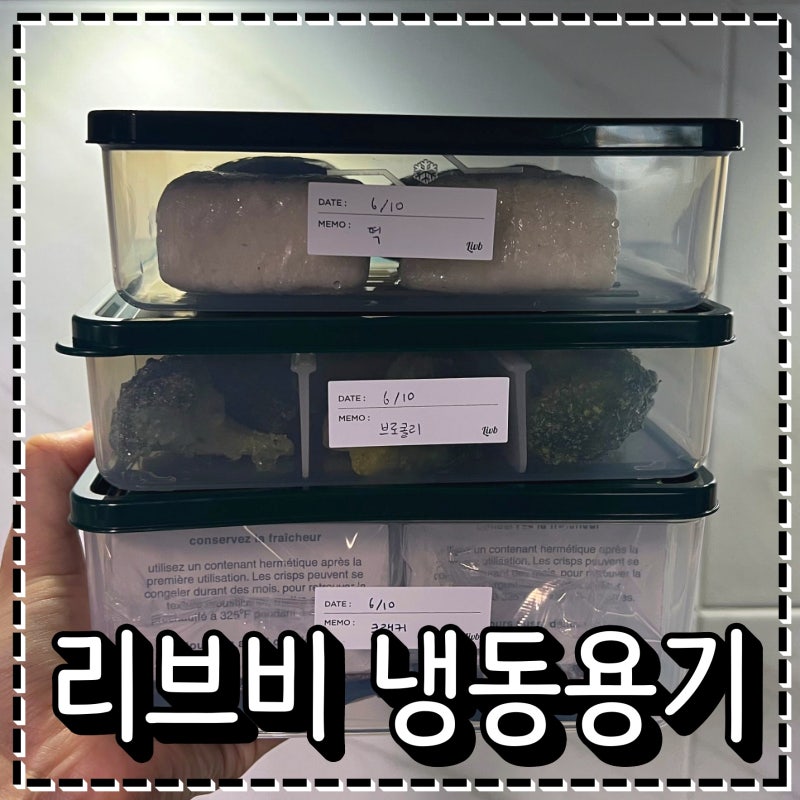 냉동보관용기 추천 소분하기 편한 칸칸이 리브비 냉동용기 사용 후기