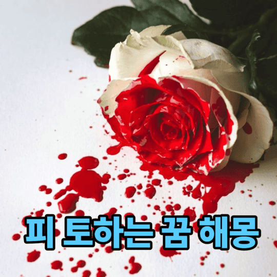 피 토하는 꿈 피 쏟는 꿈의 의미와 길몽과 흉몽 해몽
