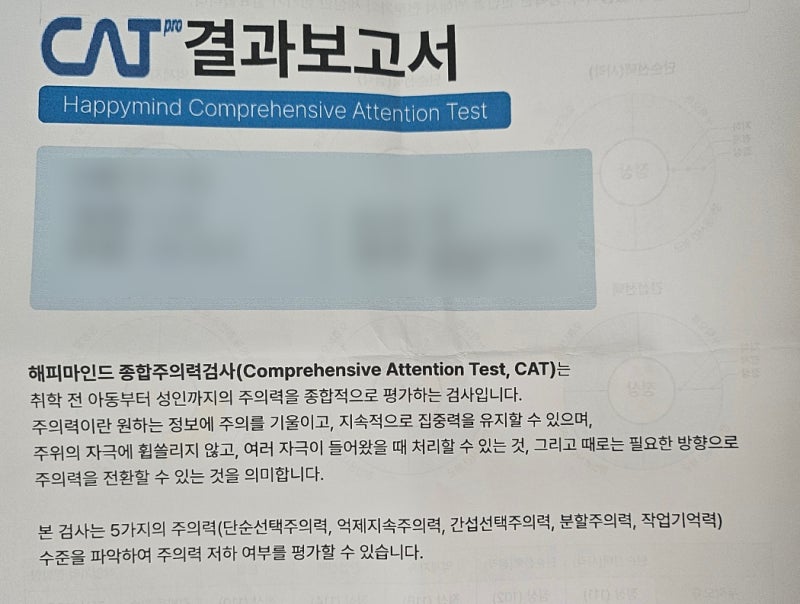 성인 ADHD 검사 및 진단 후기 금액정보 :: 고기능 고지능 ADHD?