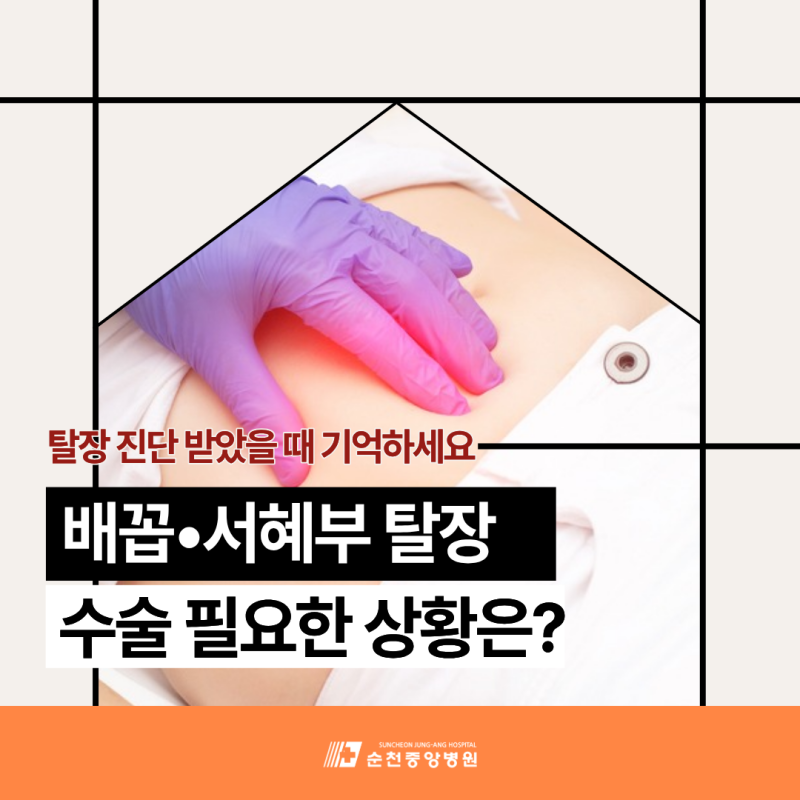 만성 서혜부•배꼽탈장 주의! 광양시 탈장수술 응급실 방문 신호 무엇인가요?