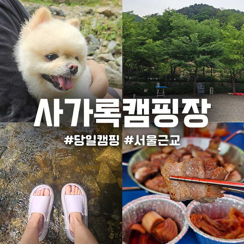 사가록캠핑장 사진 1