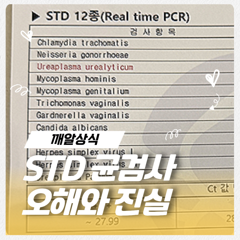 남편 잡을뻔한 STD 12종 균검사 양성 후기 / 성병으로 오해받는 유레아플라즈마의 진실