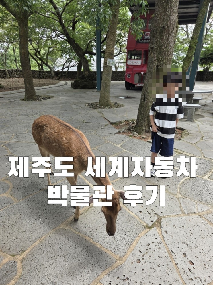  제주도 세계자동차&피아노 박물관 그리고 사슴먹이 체험