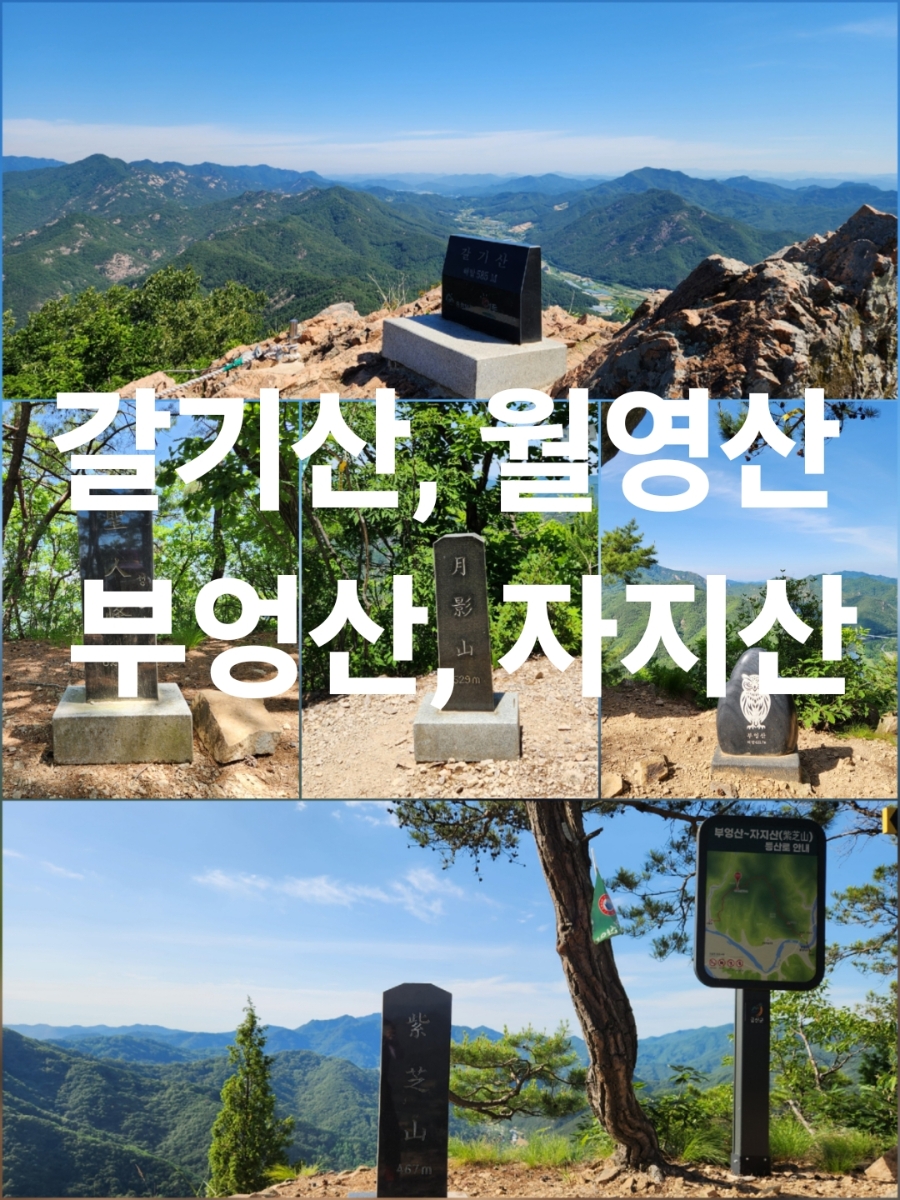 자지산 사진 1