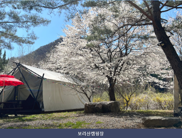 보리산캠핑장 사진 4