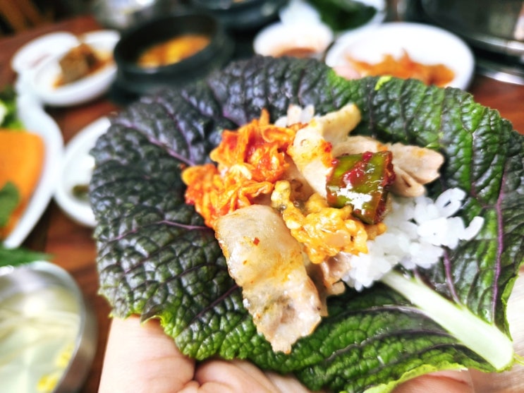  울산 성안동 맛집 무영쌈밥정식, 신선한 쌈채소 가득한 쌈밥정식 솔직후기 (주차, 점심 꿀팁)