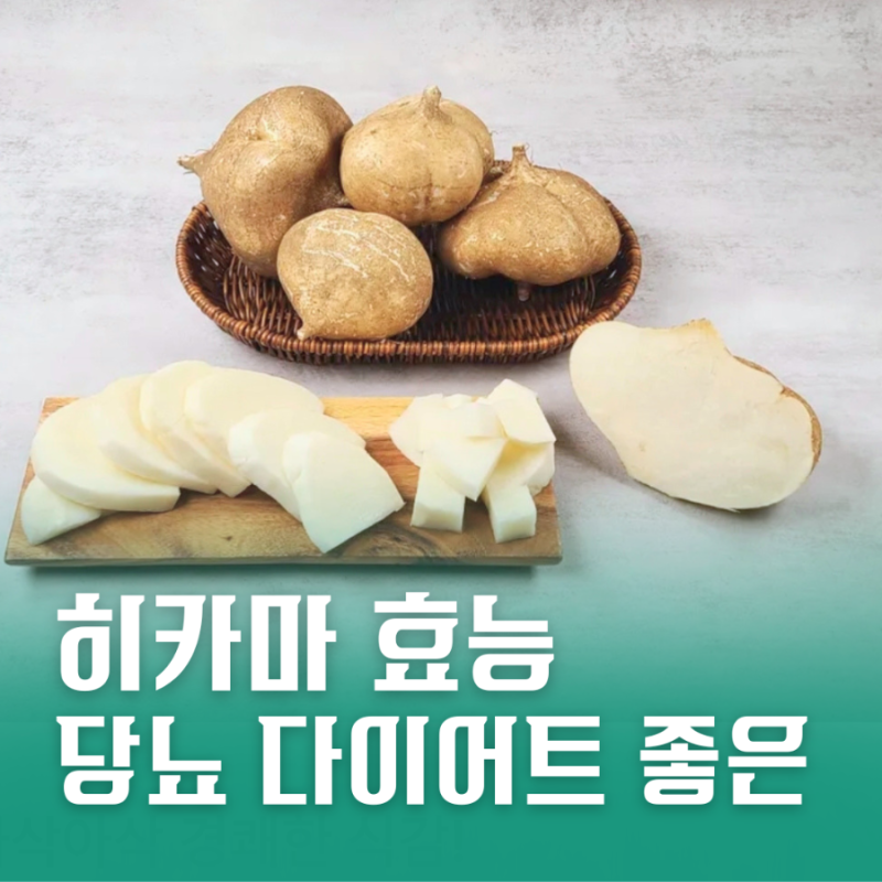 히카마 효능 총정리! 당뇨 다이어트에 좋은 멕시코 감자의 비밀