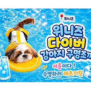 위니즈 강아지구명조끼  츄츄가 입고 수영해 본  리얼 후기