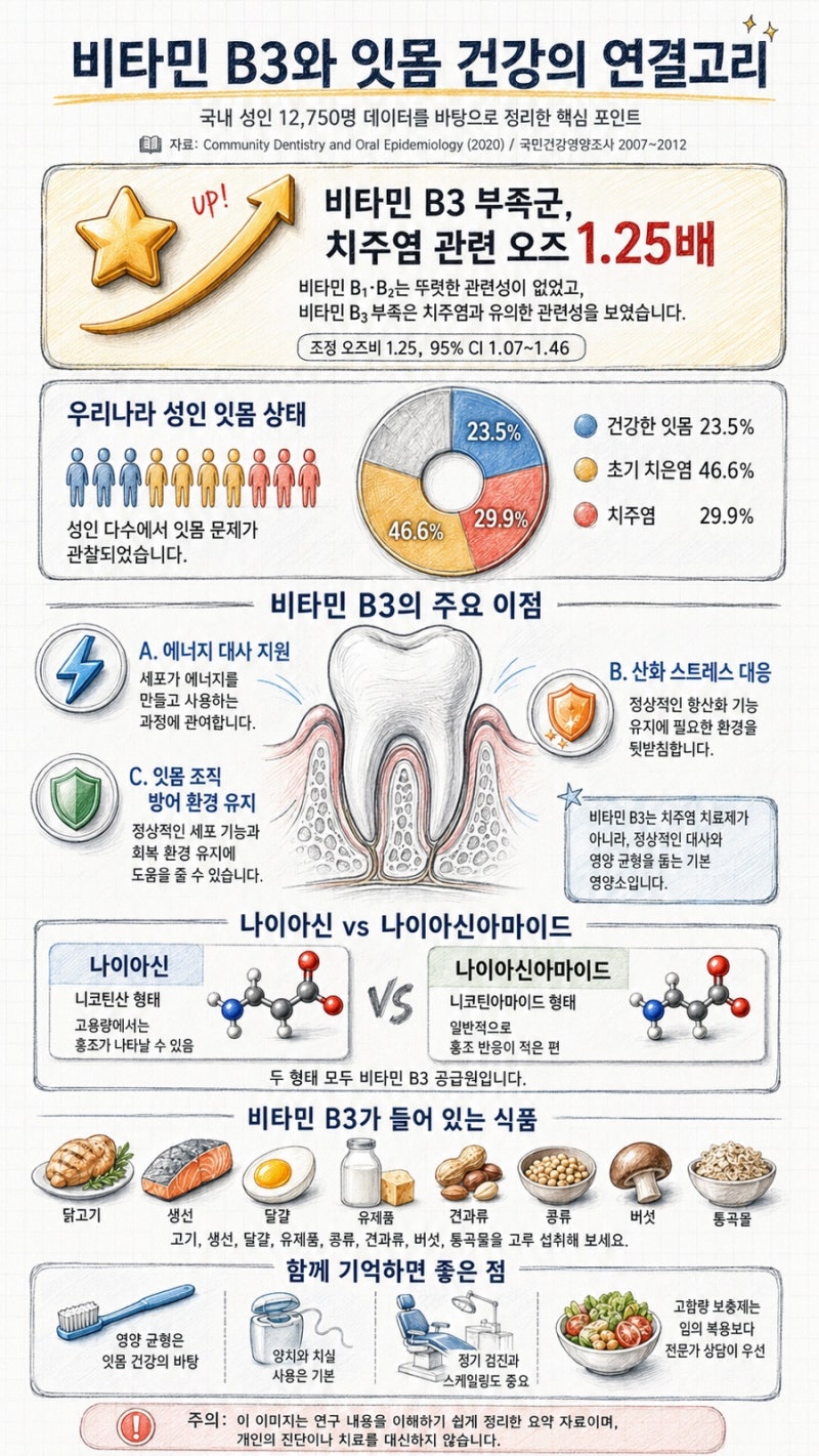 비타민 B3 효능, 나이아신이 잇몸 건강에도 도움이 될까?