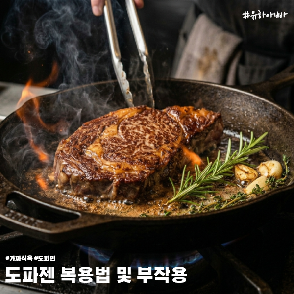  도파젠 효과효능과 부작용, 맛집 블로거 유하아빠의 3개월 복용법 후기