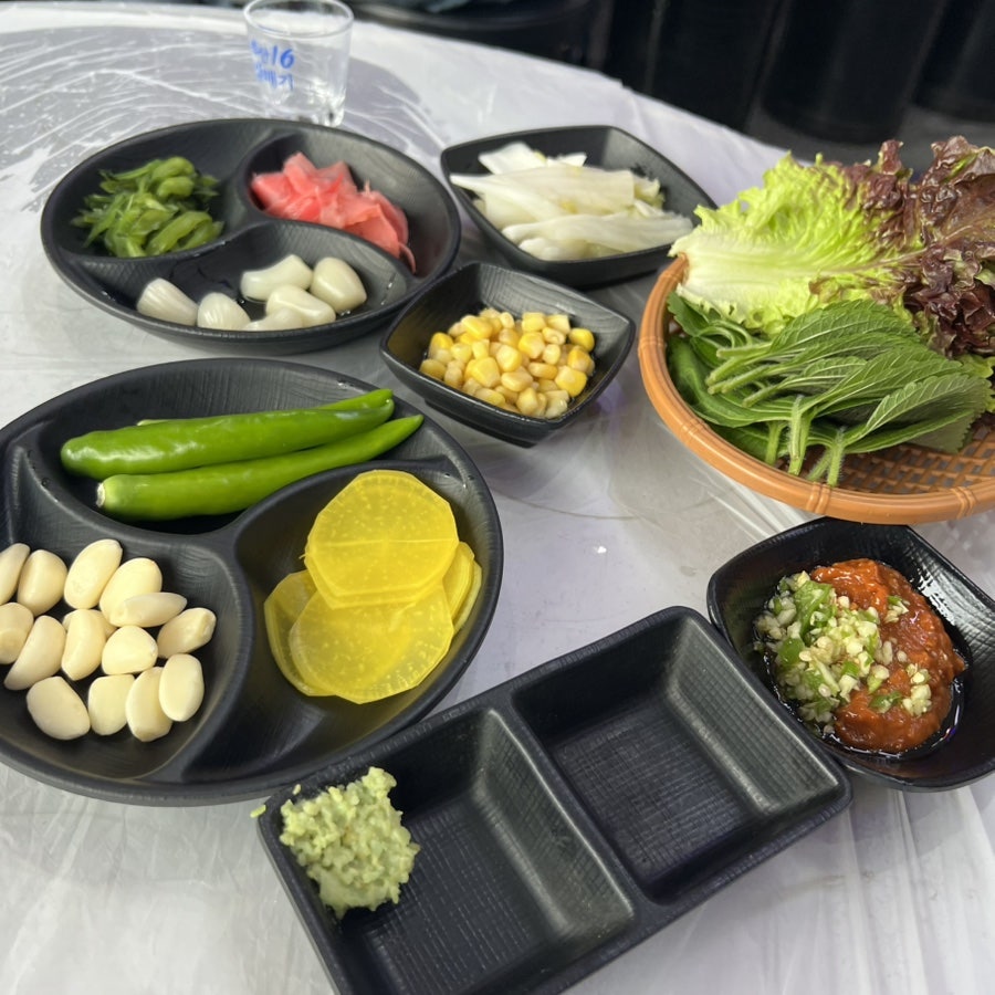 등대회초장 사진 5