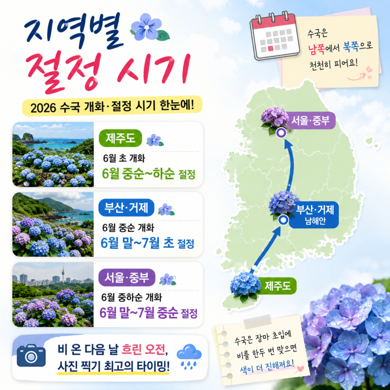 제주도 수국 개화시기와 혼인지·휴애리 명소 가이드