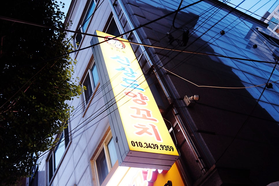 신상도양꼬치 사진 2