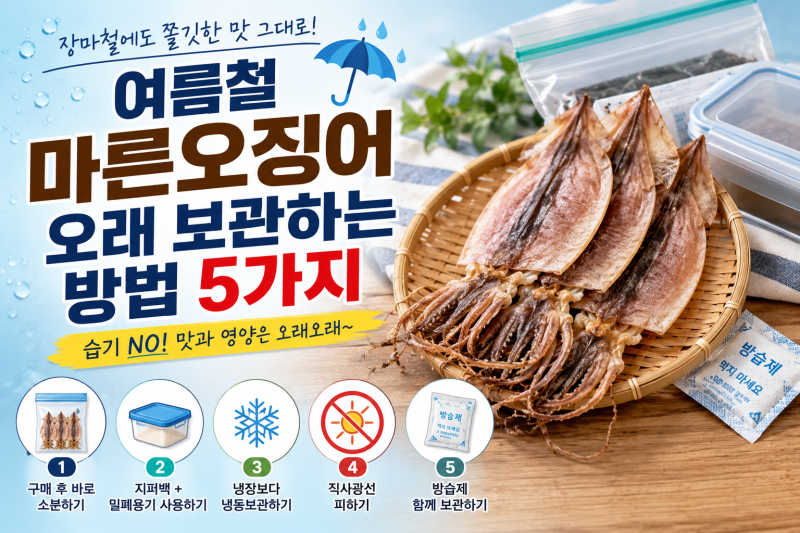 여름철 마른오징어 오래 보관하는 방법 5가지