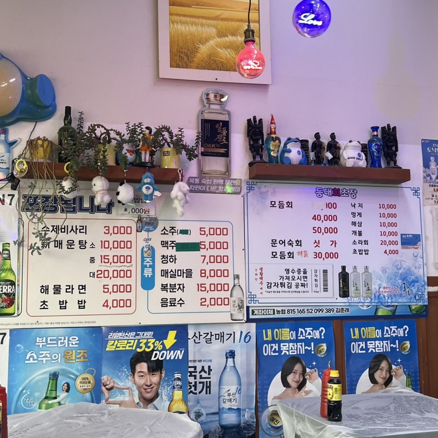 등대회초장 사진 4