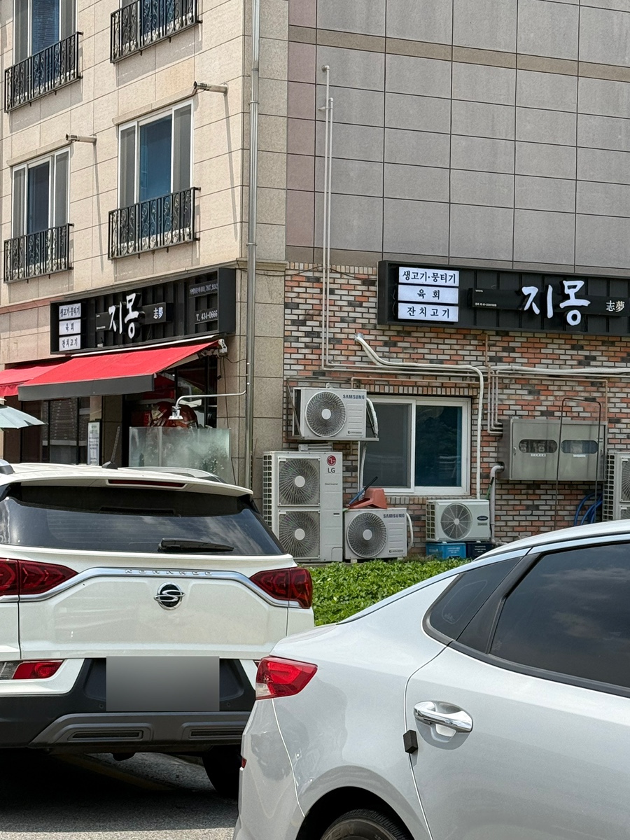 지몽 사진 2
