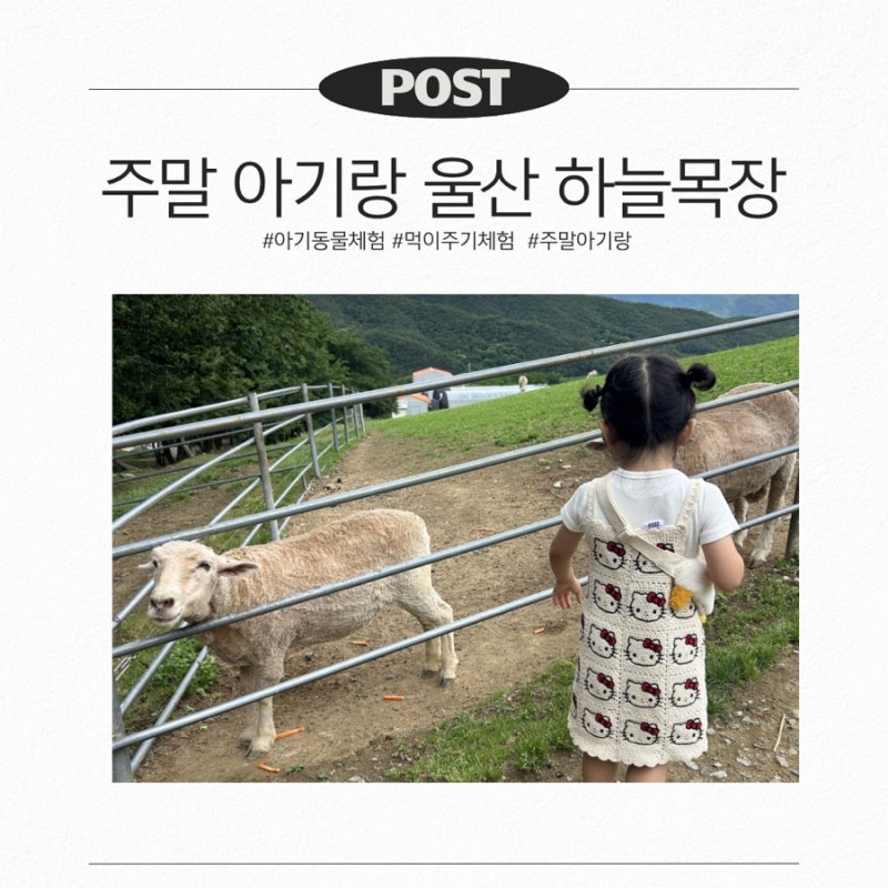 울산 아이와 가볼만한곳 하늘목장 38개월 아기 주말 나들이 후기