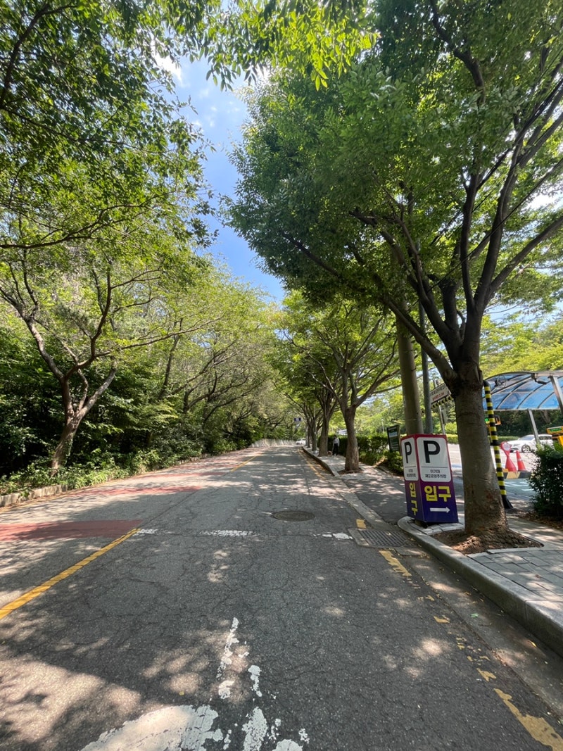 부산이기대공원 해안산책로 드라이브코스 추천! 반려견,자녀와 함께한 주말산책