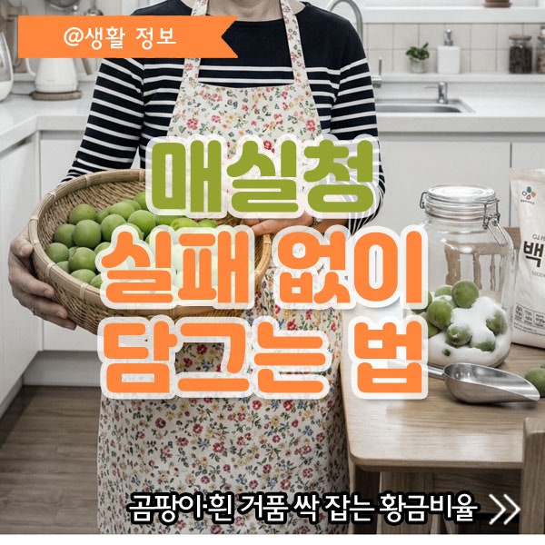 여름 매실청 담그는 시기 황금비율 및 매실엑기스 곰팡이 흰거품 안 생기게 하는 법 살림 팁