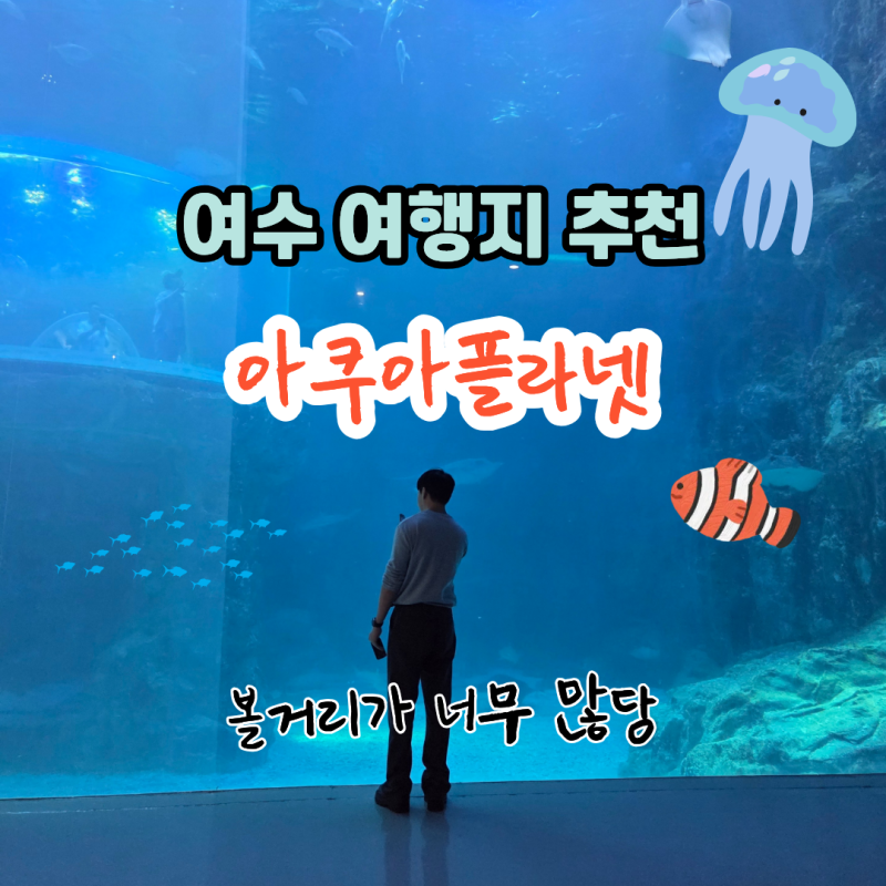여수 아쿠아플라넷 주말 당일 예매로 할인받고 다녀온 가족 여행 (프로그램 쇼 후기)
