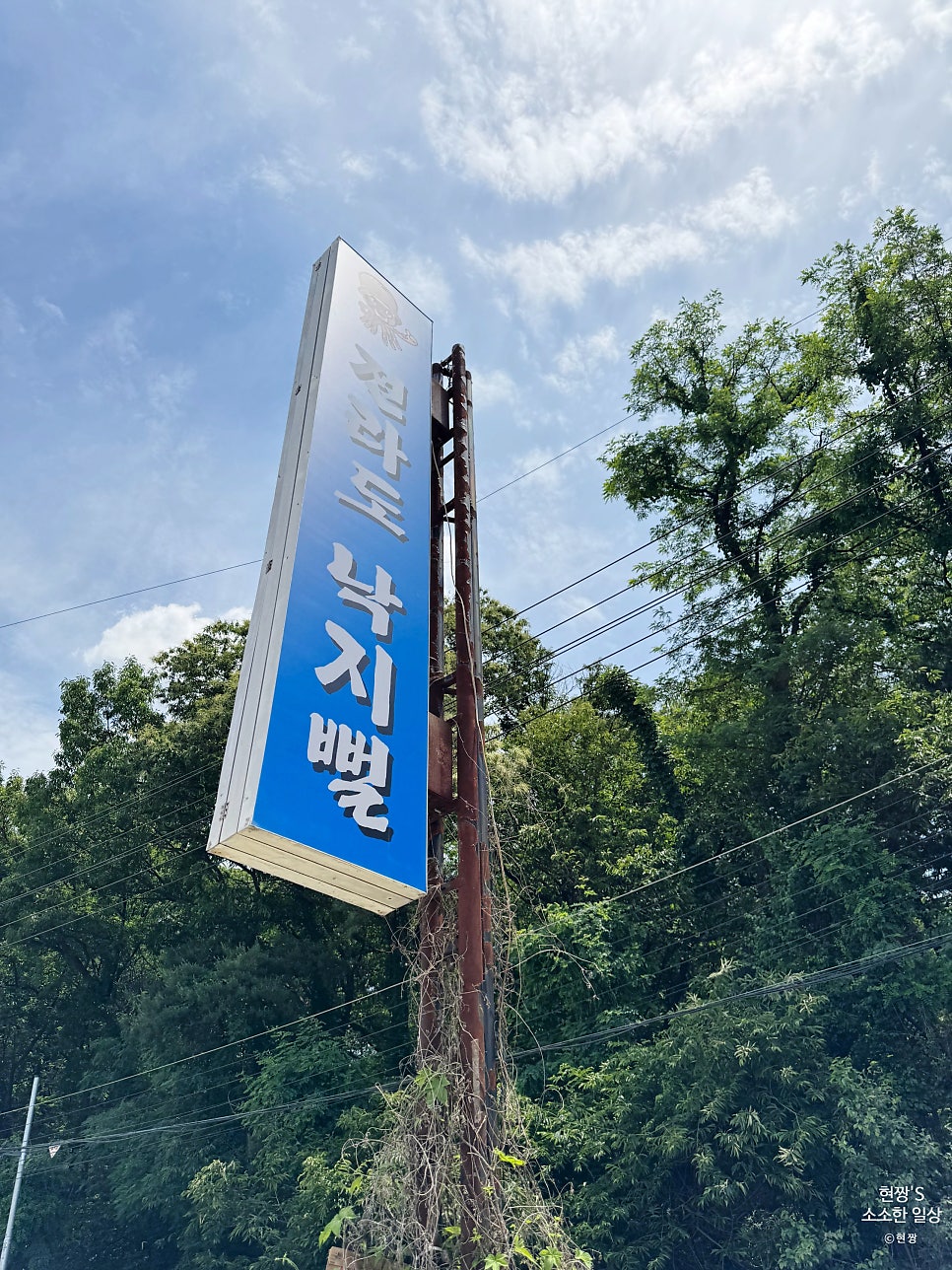 전라도낙지뻘 사진 2