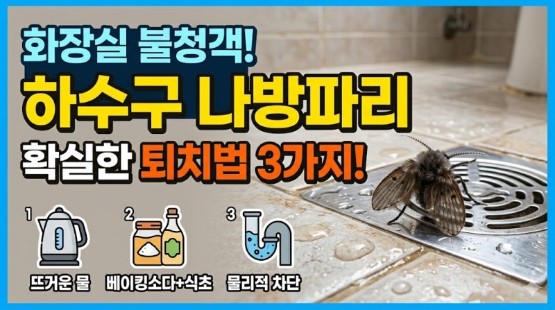 화장실 하수구 나방파리 생기는 원인과 확실한 퇴치법 3가지