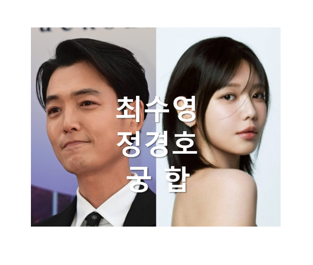 최수영 정경호 궁합
