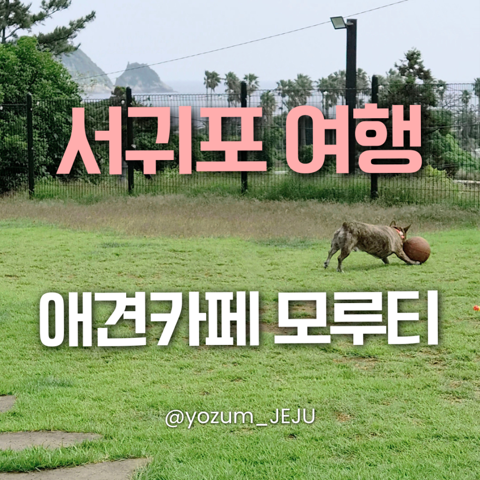 모루티 사진 1