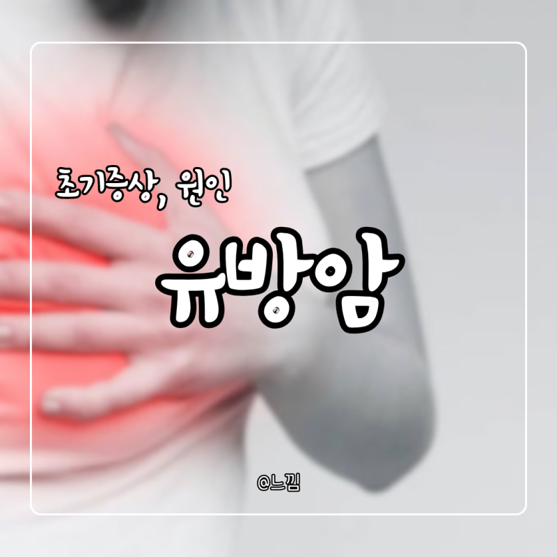 유방암의증상 유방암 생존율 발생원인