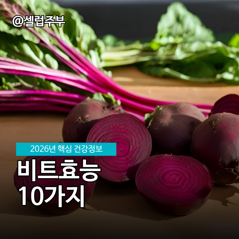 비트효능 10가지, 임산부 물대신 비트차 카페인 유무!